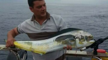 Gerhard20, 43 Pretoria, Gauteng, South Africa