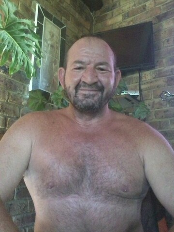 horny bull, 60 Witbank, Mpumalanga, South Africa