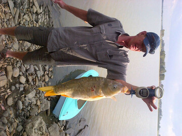 whitey9, 56 Vaal Marina, Gauteng, South Africa