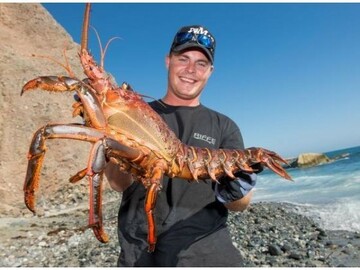 Lobster Vasgie, 34 Pretoria, Gauteng, South Africa