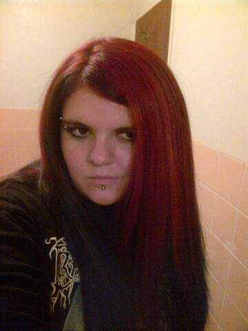 Scarlet-rose, 34 Springs, Gauteng, South Africa