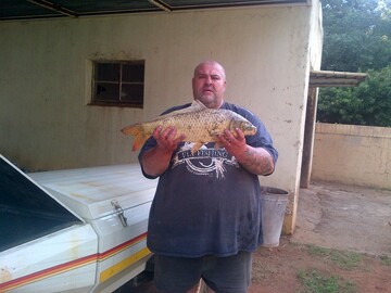 baber, 49 Springs, Gauteng, South Africa