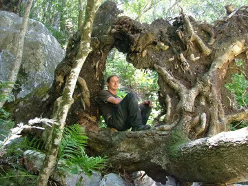 Trickster, 50 Graaff Reinet, Eastern Cape, South Africa