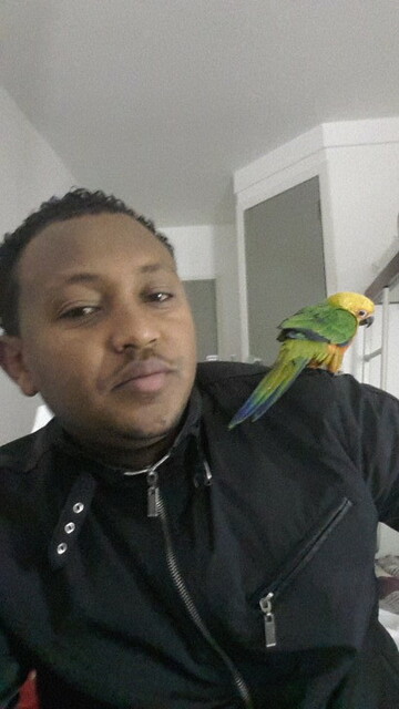 dave94, 41 Tzaneen, Limpopo, South Africa