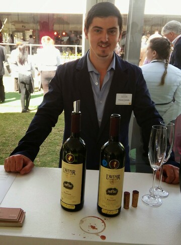 SomeWineGuy, 36 Stellenbosch, Western Cape, South Africa
