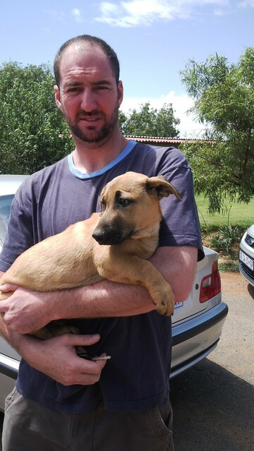 JJV2, 43 Randburg, Gauteng, South Africa