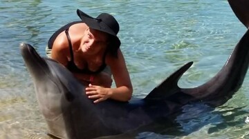 basic girl, 47 Stilbaai, Western Cape, South Africa