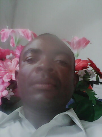 Realwizz, 41 Witsieshoek, Free State, South Africa