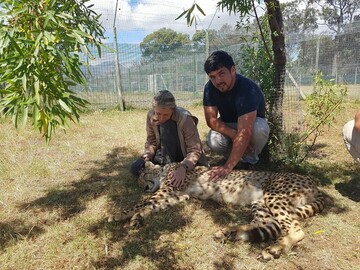 Zane33, 32 Paarl, Western Cape, South Africa