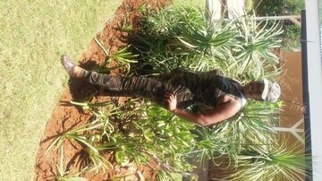 dalybi, 45 Rustenburg, North West, South Africa