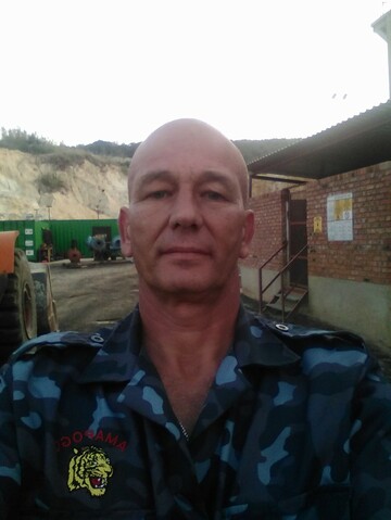 Pitbul, 57 Boksburg, Gauteng, South Africa