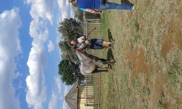 Anton15, 54 Pretoria, Gauteng, South Africa