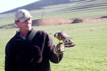 Alan4, 56 Cape Town, Western Cape, South Africa