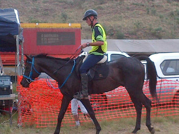 frans306, 41 Pretoria, Gauteng, South Africa