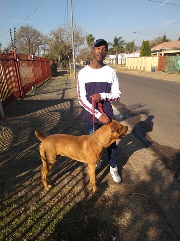 Mojey, 25 Pretoria, Gauteng, South Africa