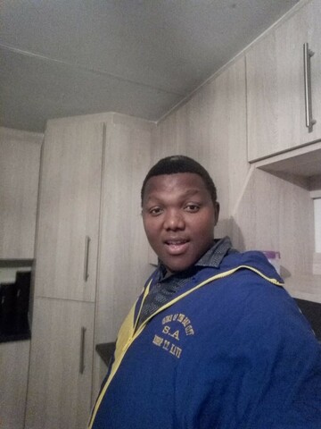 Honey bee, 34 Port Elizabeth, Eastern Cape, South Africa