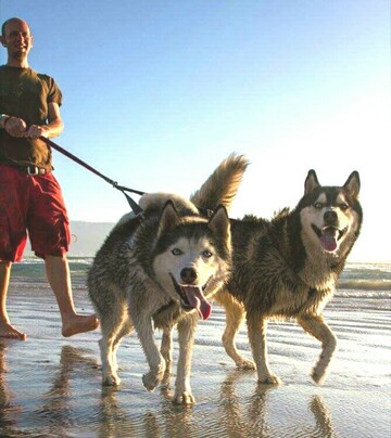 Conan, 45 Cape Town, Western Cape, South Africa