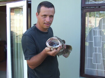 cassie123, 46 Pretoria, Gauteng, South Africa