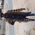Zeee6 Gallery Photo 1