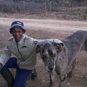 Sabelo15 Gallery Photo 6
