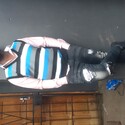 Mikhy Gallery Photo 4