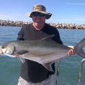 Digseaweed From Port Elizabeth, Eastern Cape