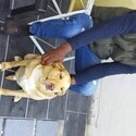 Fokol From Plettenberg Bay, Western Cape