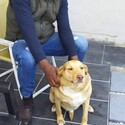 Fokol Gallery Photo 1