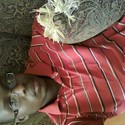 Enrich From Durban, Kwazulu-Natal