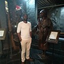niro Gallery Photo 1