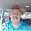Renoster From Middelburg %28mp%29, Mpumalanga