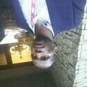 Deshie From Olifantsfontein, Gauteng
