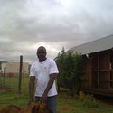 Moss30 From Hartbeespoort, North West