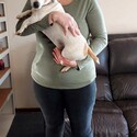 Rinasharky Gallery Photo 5