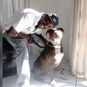 NewMe From Sandton, Gauteng