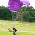 Beefmaster From Richards Bay, Kwazulu-Natal