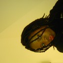 masisy Gallery Photo 1