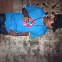 CJ49 Gallery Photo 1