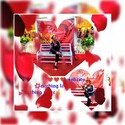 Tema Gallery Photo 6