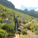JJ377 From Cape Town, Western Cape