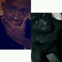 linford2 Hazyview