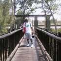 Stiz Gallery Photo 3