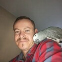 Marius385 Gallery Photo 3