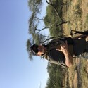 charger Madikwe Game Reserve
