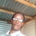 stier From Roodepoort, Gauteng