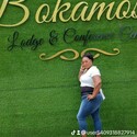 Jessy341 Gallery Photo 1