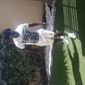 Handsome From Durbanville, Western Cape
