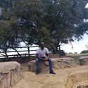 Rolivhuwa Gallery Photo 6