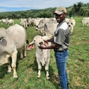 Chinace From Durban, Kwazulu-Natal