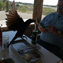 Donald Gallery Photo 1